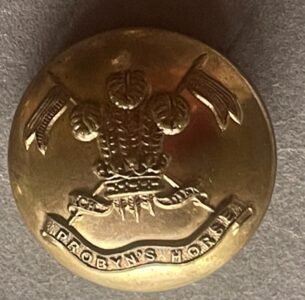 Probyn's Horse. Officer's gilt 25mm post 1921 button