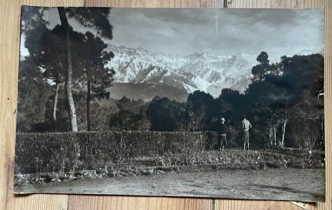PALAMPUR. A very large vintage photograh of the Himalayas from the Rest House